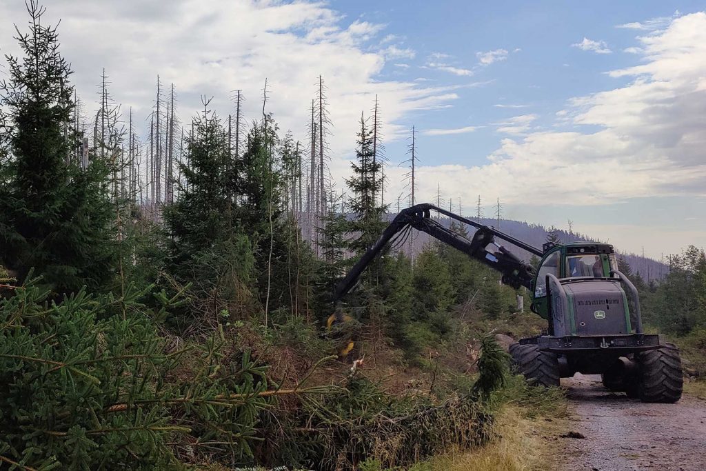 Anlage von Brandschneisen im Nationalpark Harz während der akuten Brände im September, Foto Dr. Roland Pietsch, Nationalpark Harz