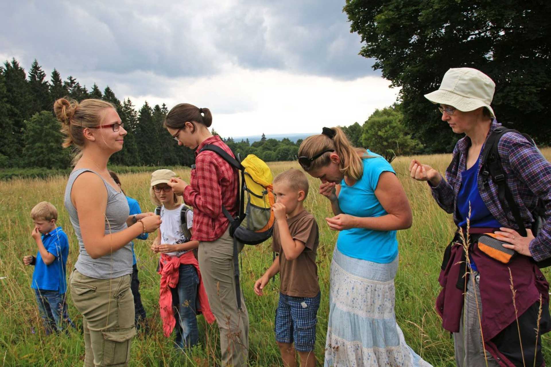 Eine der Aufgaben im Rahmen des Freiwilligen Ökologischen Jahres im Natur-Erlebniszentrum HohneHof: Die Führung einer Kräuterwanderung im Nationalpark. Foto: Mandy Gebara, Nationalpark Harz