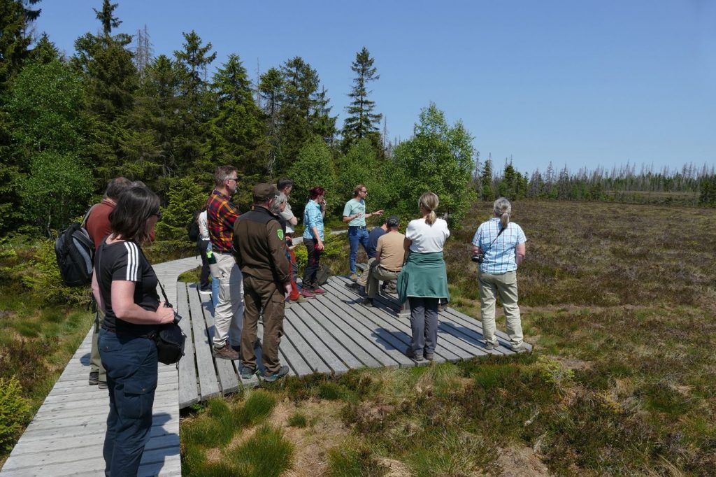 Das von der anhaltenden Trockenheit betroffene Große Torfhausmoor war eine weitere Station der Exkursion durchs Nationalparkgebiet Foto: Martin Baumgartner, Nationalpark Harz
