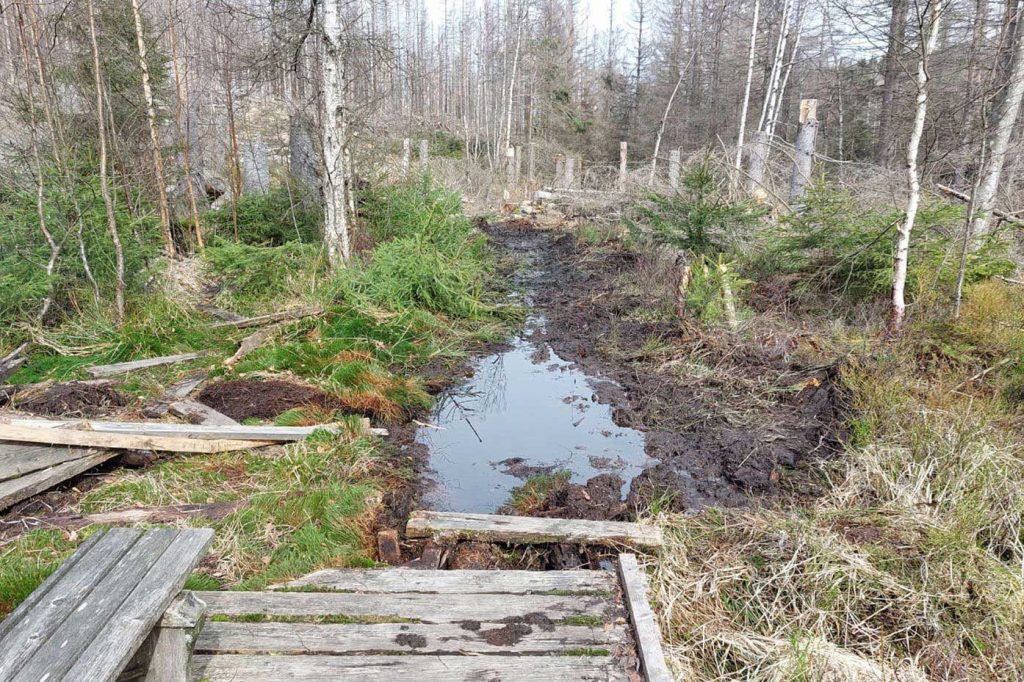 Der Abriss der alten Stege ist bereits erfolgt und der Weg ist aktuell nicht passierbar. Foto2: Sabine Bauling, Nationalpark Harz