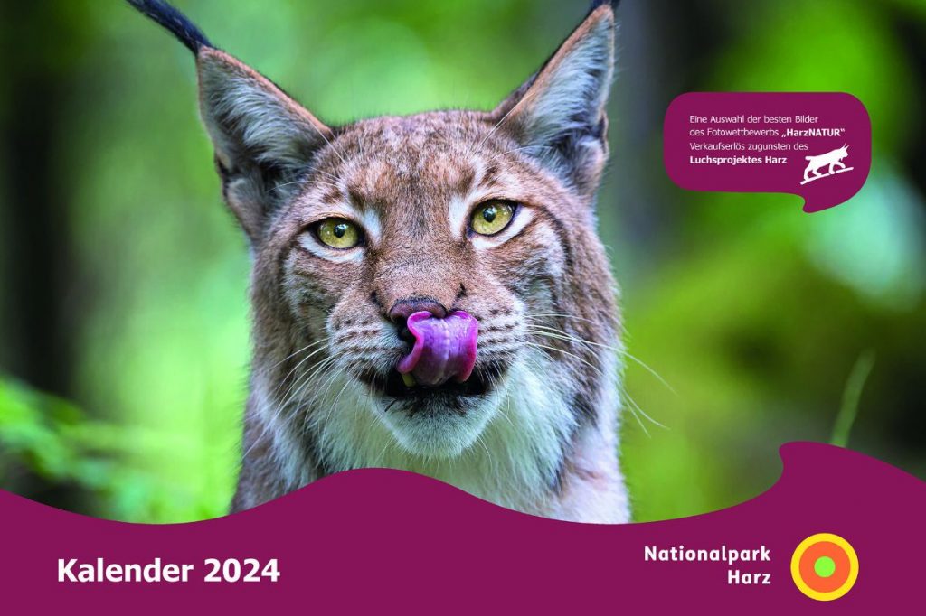 Titelbild des Nationalpark-Fotokalenders 2024, Foto: Nationalpark Harz