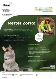Rettet Zorro! Plakat