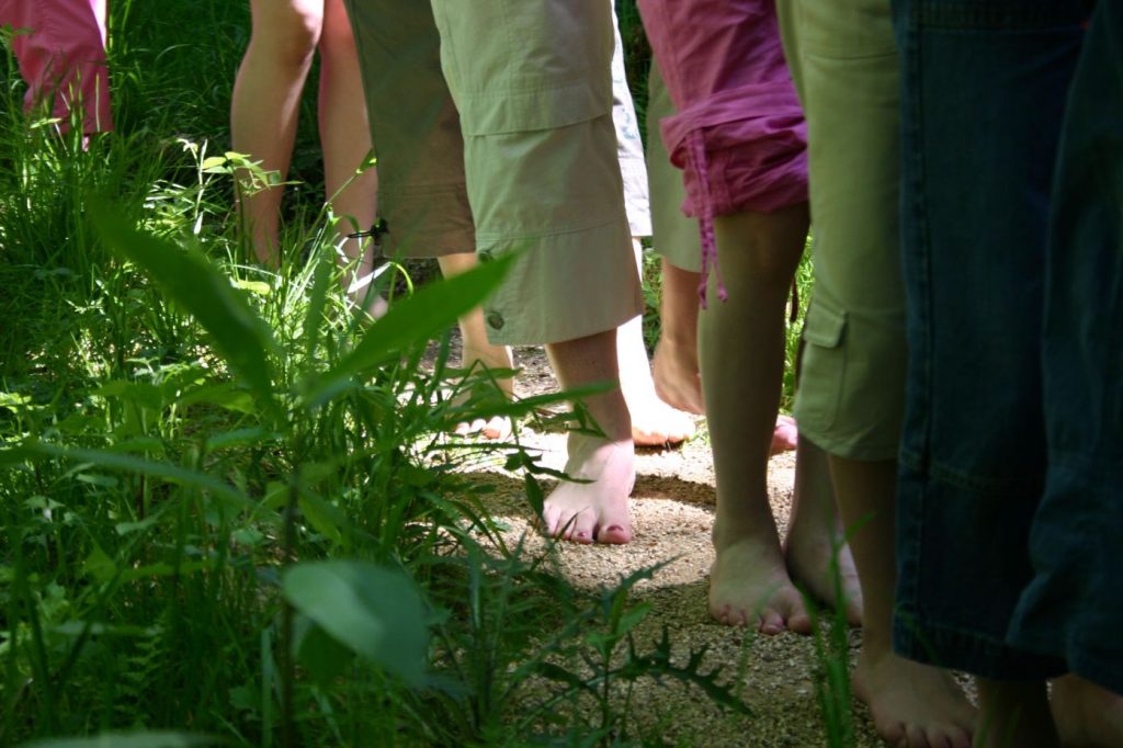 „Barfußwandern im Nationalpark“ steht bei einer Exkursion am Freitagnachmittag ab 14 Uhr in Torfhaus auf dem Programm. Foto: Ingrid Nörenberg