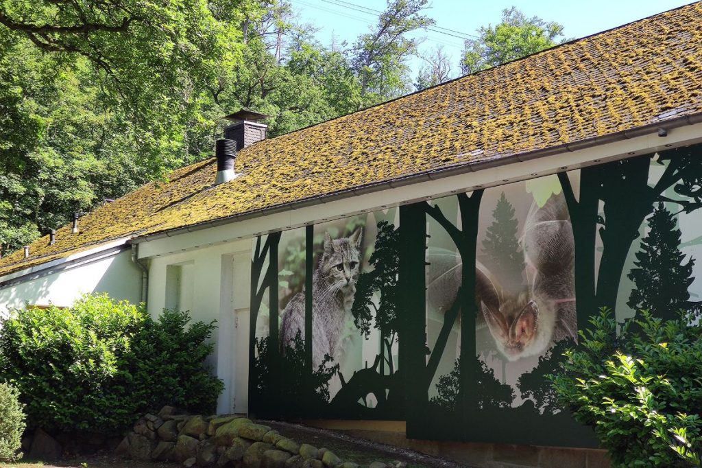 Von der Straßenseite macht eine Prismawand mit je nach Fahrtrichtung wechselndem Bildmotiv – Luchs und Kauz – auf das Thema der Ausstellung, den Harzwald, aufmerksam. Foto: Frank Steingaß;