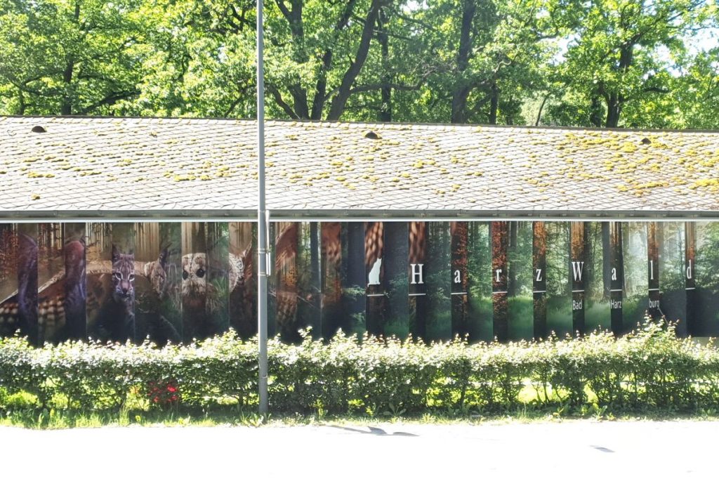 Vom Kurpark aus gesehen schmücken großformatige Tiermotive wie Fledermaus und Wildkatze das Gebäude. Foto: Martin Baumgartner;