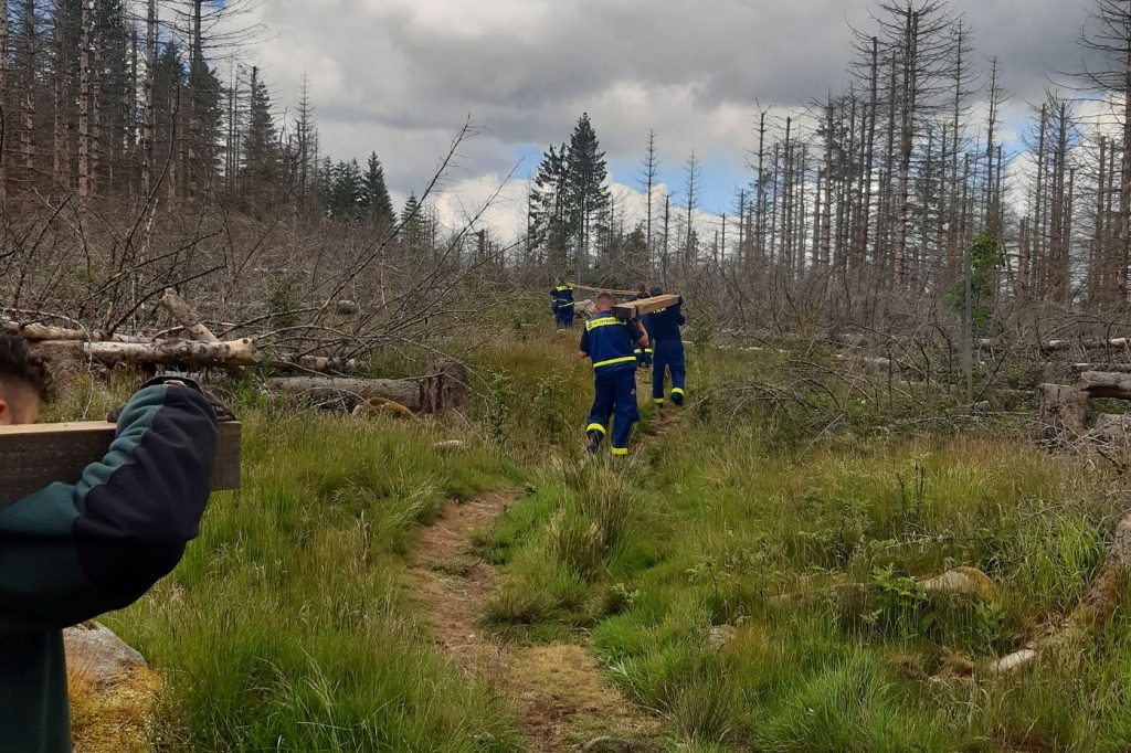 Auf dem Rest der Strecken beförderte die THW-Truppe das Material per Hand – eine kräftezehrende Ausbildung. Foto: Jens Geffert, Nationalpark Harz;